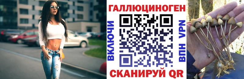 Галлюциногенные грибы Psilocybine cubensis  МЕГА tor  Омск 